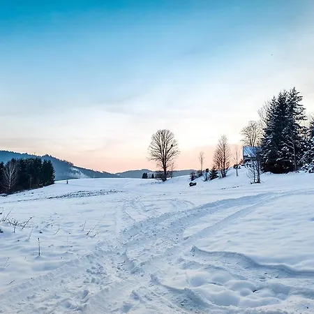 Drevenica U Studniara *